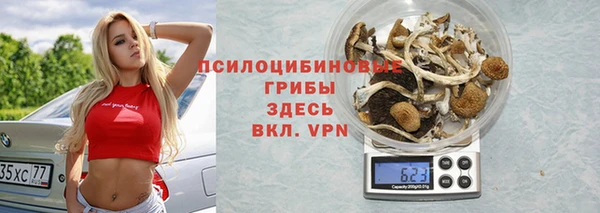спайс Алексин