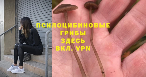 марки lsd Алексеевка